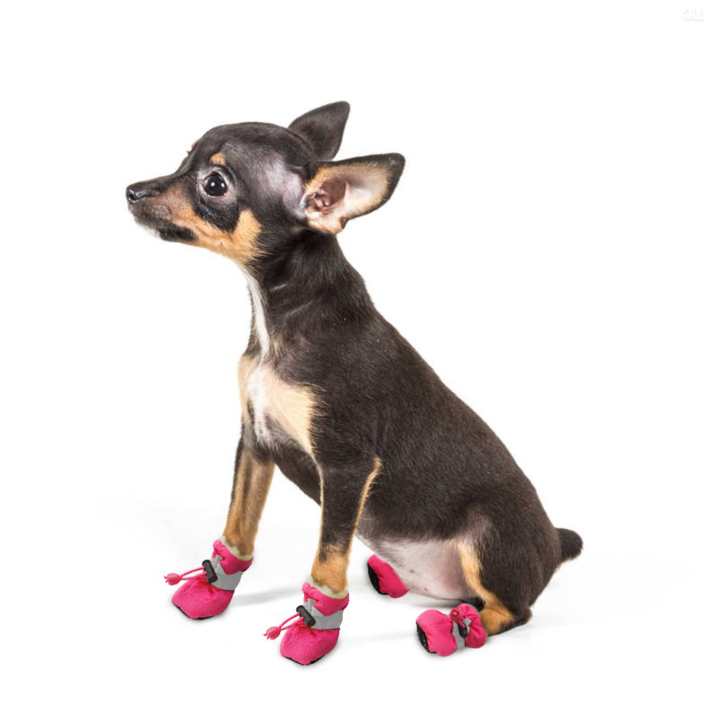 Amazing Waterproof Dog Shoes – My Dogs Wishlist